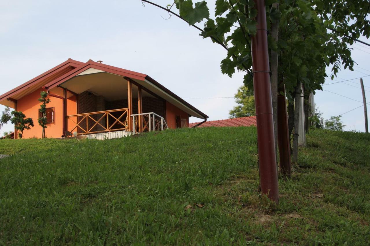 הוילה סבטי מרטין נה מורי Kuca Za Odmor "Nedeljko"/ Holliday Hause "Nedeljko" מראה חיצוני תמונה